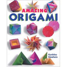 Amazing Origami Book