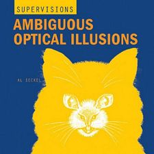Ambiguous Optical Illusions - book