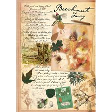Fairyopolis: Beechnut Fairy