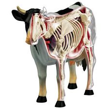Photomosaic: Cow