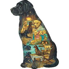 Faithful Companions