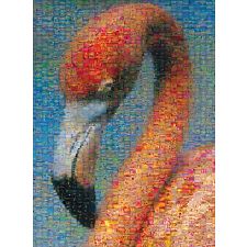 Photomosaic: Flamingo