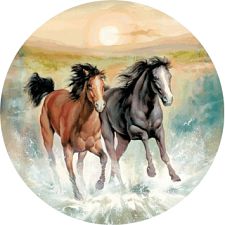 Horsing Around