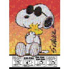 Photomosaic: Joe Cool