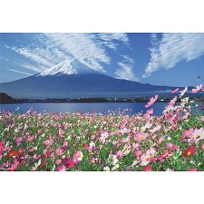 Micro Puzzle - Mt. Fuji and Cosmoses