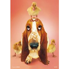 Micro Puzzle - Dog and Chick