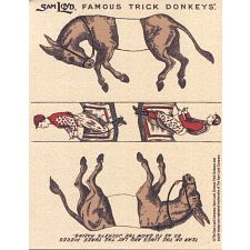 Trick Donkeys - Mini
