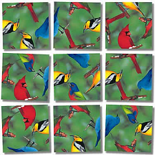 Scramble Squares North American Birds Tile Puzzles Puzzle Master Inc