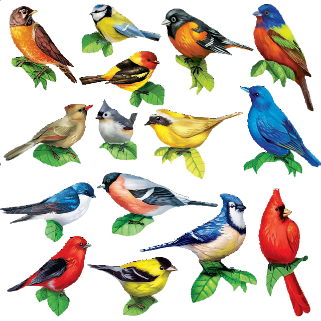 Songbirds II: 15 Mini Shaped Puzzles | Jigsaws | Puzzle Master Inc