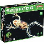 4D Vision - Frog - Full Skeleton Model