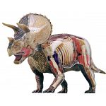 4D Vision - Deluxe Triceratops Anatomy Model