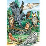 North American Owls - Tray Puzzle