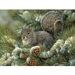 Gray Squirrel - Large Piece