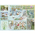 Garden Birds in Winter - Large Piece