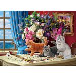 Puzzling Cats