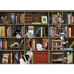 Kitty Librarians