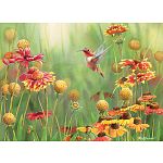 Rufous Hummingbird - Large Piece