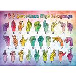 American Sign Language - Large Piece