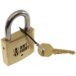 Ant Hunt - Puzzle Lock