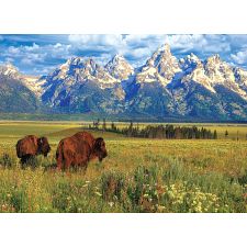 Grand Teton National Park (Eurographics 628136654746) photo