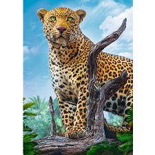 Wild Leopard