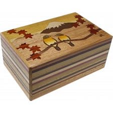 Architecto - Wooden DIY Puzzle Box Kit