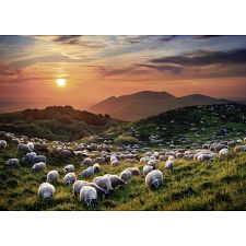 AVH Edition: Sheep and Volcanoes (Heye 4001689299774) photo