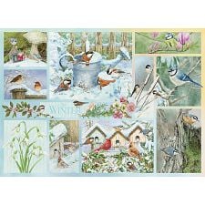 Garden Birds in Winter - Large Piece