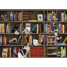 Kitty Librarians