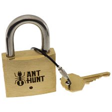 Ant Hunt - Puzzle Lock (Puzzlocks 779090735429) photo