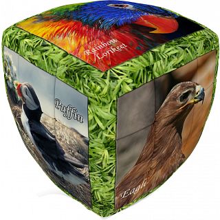 V-CUBE 2 Pillow (2x2x2): Unique Birds