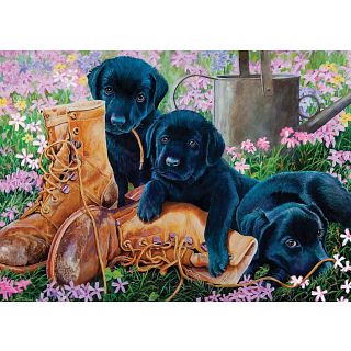 Black Lab Puppies - Tray Puzzle