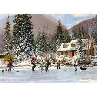 Hockey Pond - Tray Puzzle