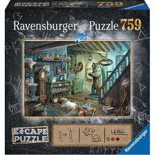 Escape Puzzle: The Forbidden Basement