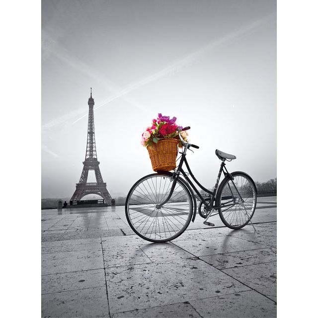 Click to get Romantic Promenade in Paris