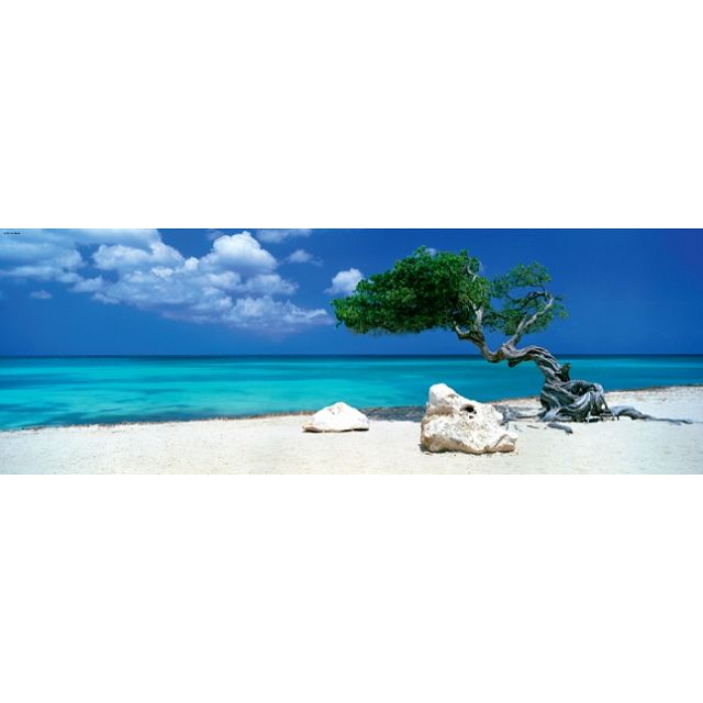 Click to get AVH Panorama Divi Divi Tree